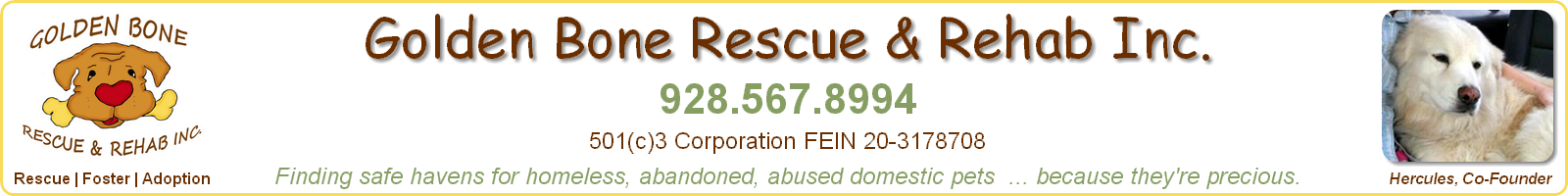 Special Pets In Need Of Medical Assistance  - Golden Bone Rescue & Rehab, Inc., Sedona, Arizona